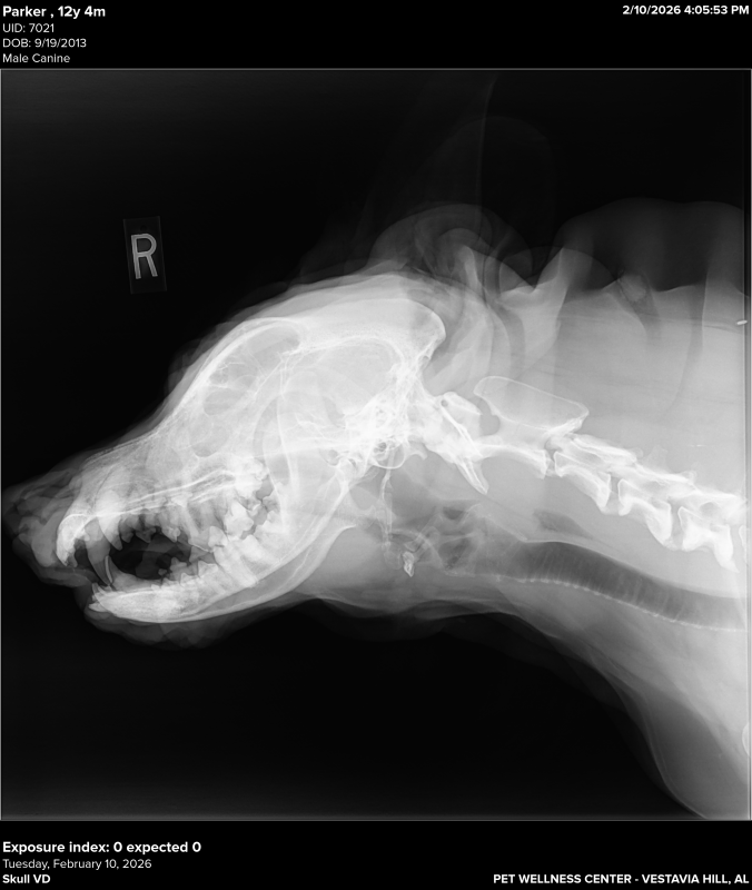 DownloadDICOM tags